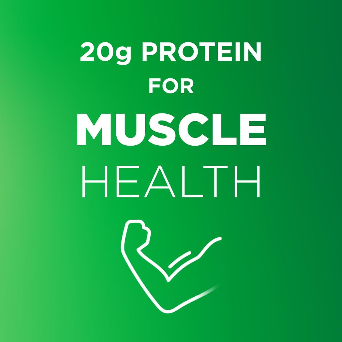 Vanilla Plant-Based Vegan Protein Nutrition Shake 12 Pack N521