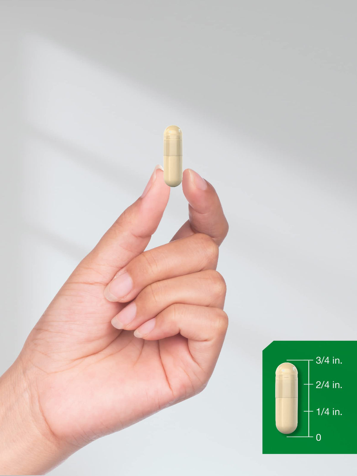 Cinnamon Capsules 150 Count N290