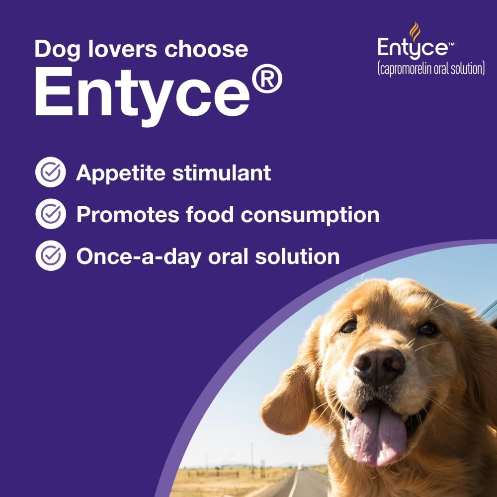 Dog Appetite Stimulant Oral Solution 30mg/ml 10 ml F965074