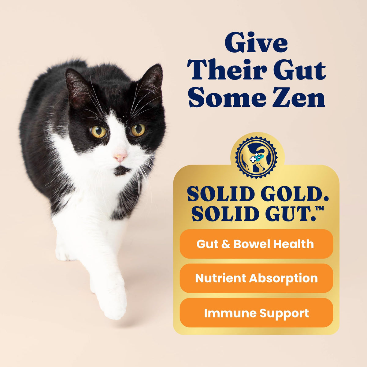 Solid Gold Indoor Chicken Dry Cat Food High Fiber, Adult & Senior Cats 12LB Y68467