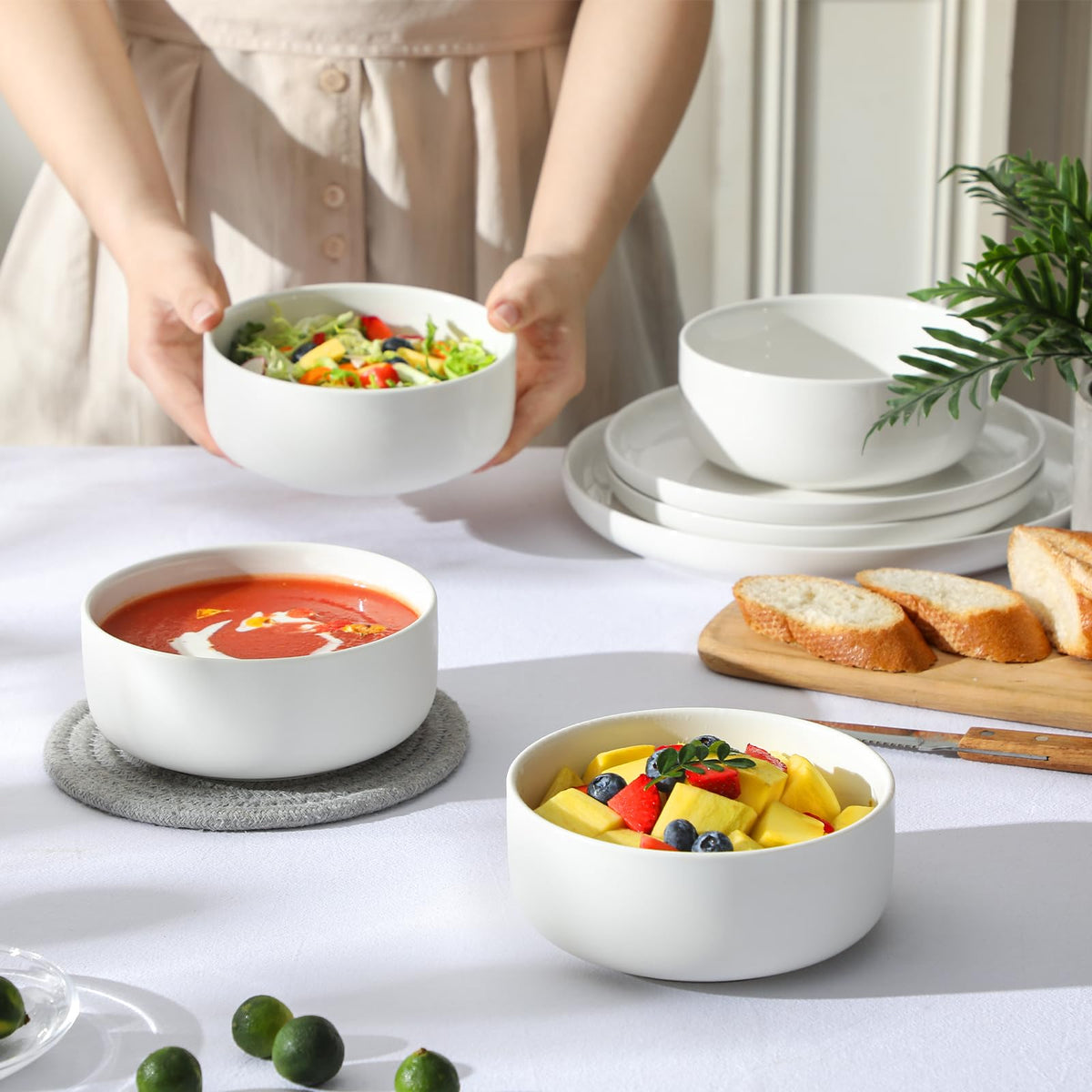 Ceramic Bowls Set of 4, 24 OZ White Z314
