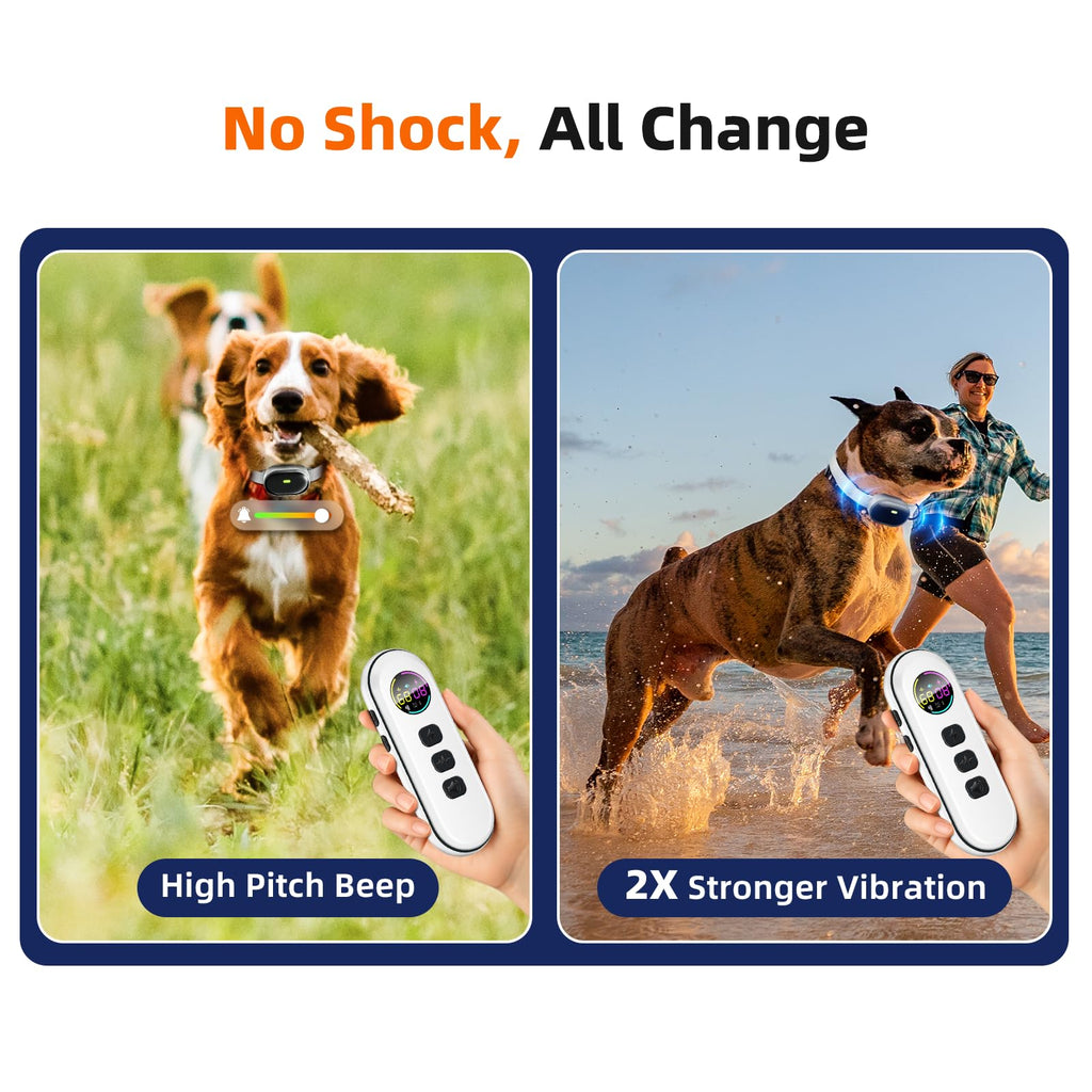 Ultra-Light Slim Dog Training Collar with Remote A719