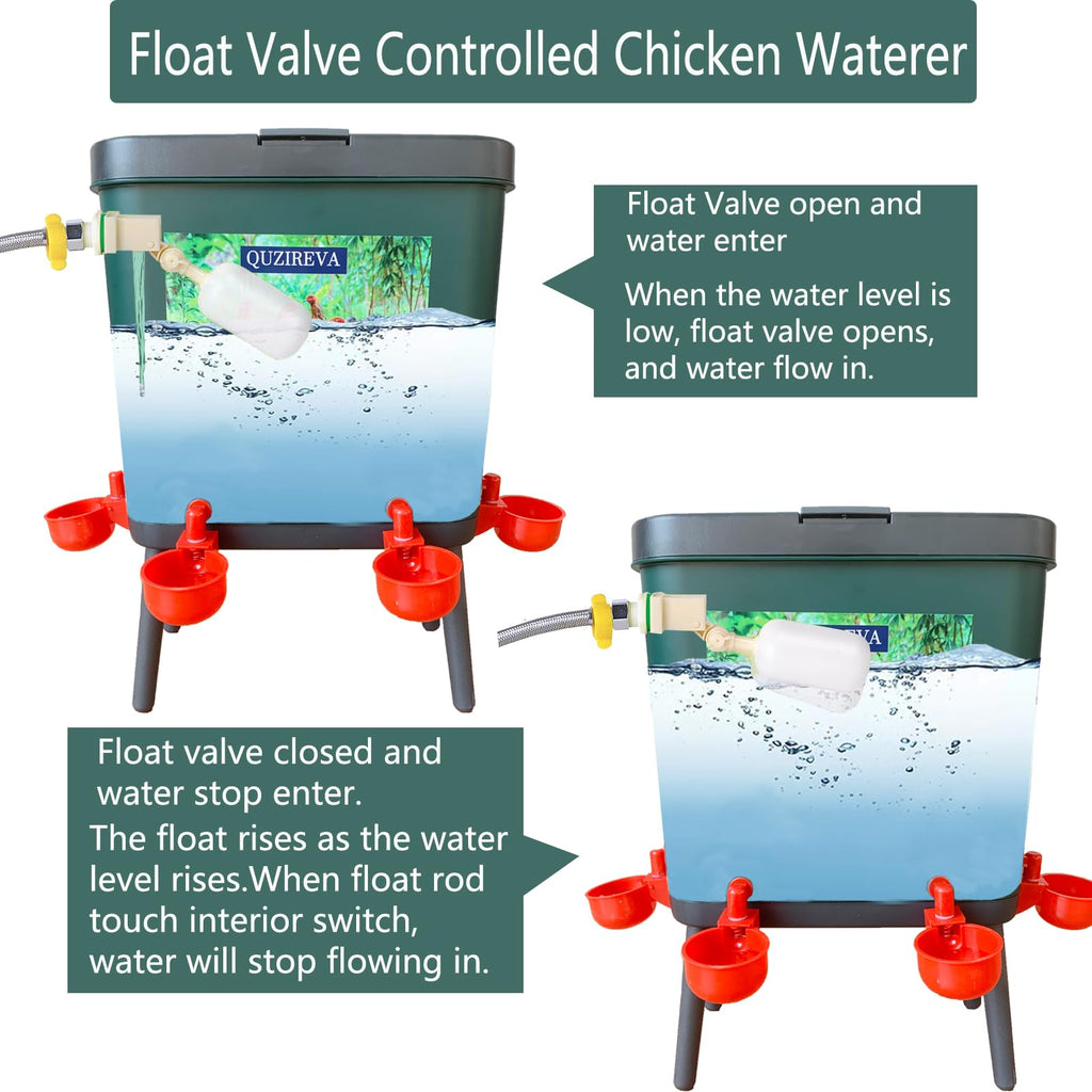 4 Gallon Automatic Float Controlled Poultry Waterer with Hose and Cups D290721