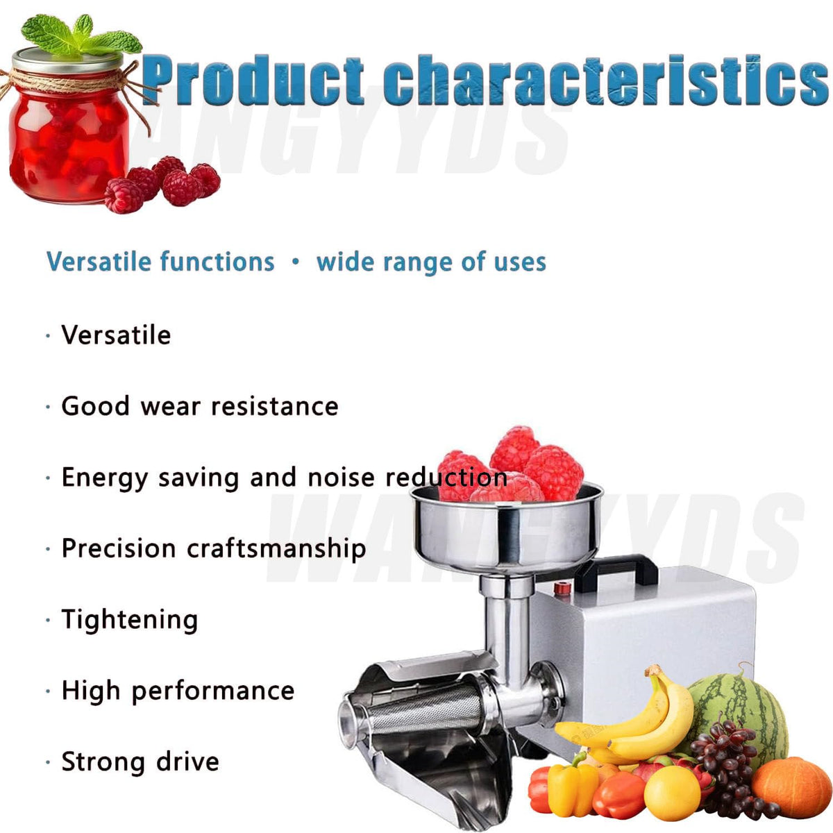 450W Electric Tomato Strainer Stainless Steel G558