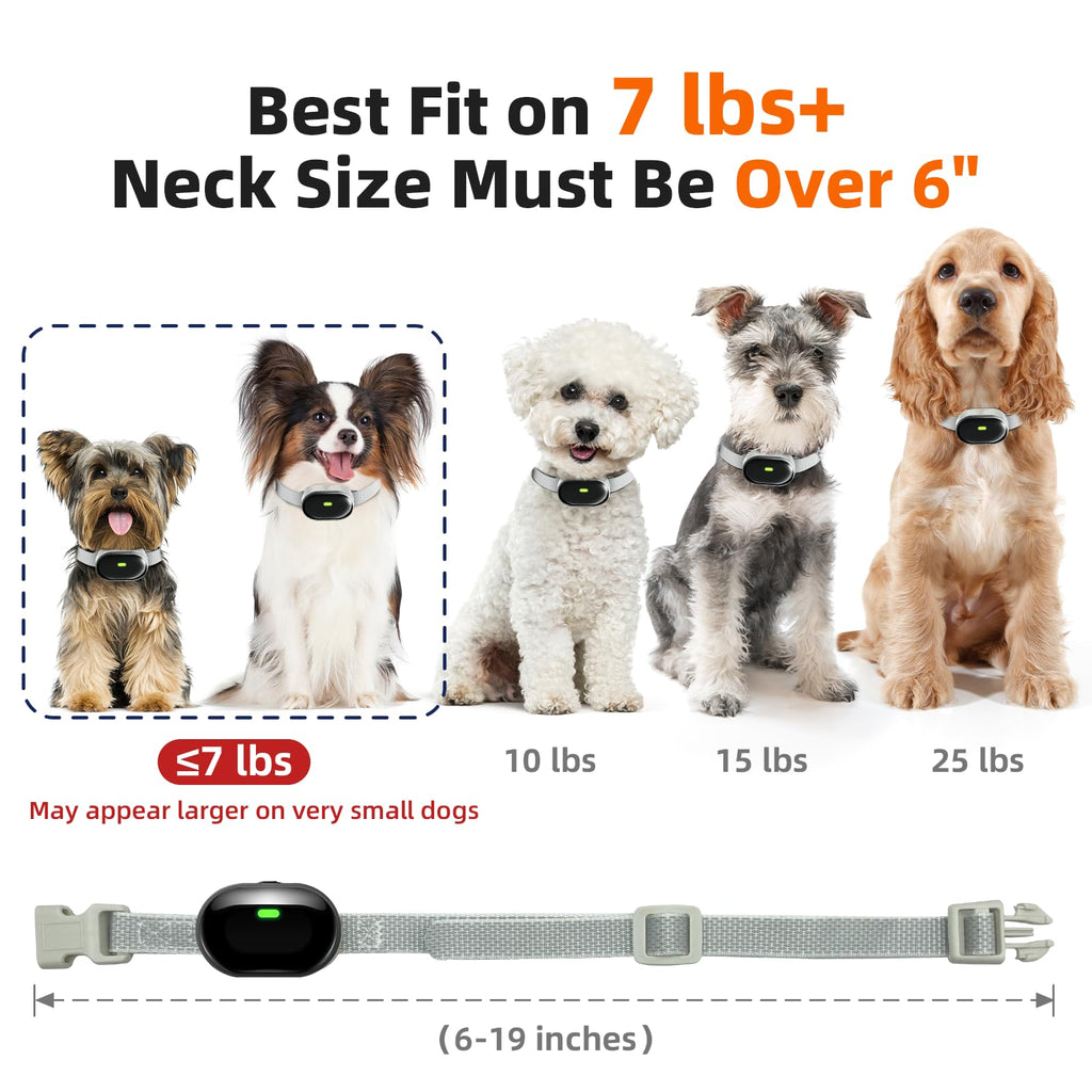 Ultra-Light Slim Dog Training Collar with Remote A719
