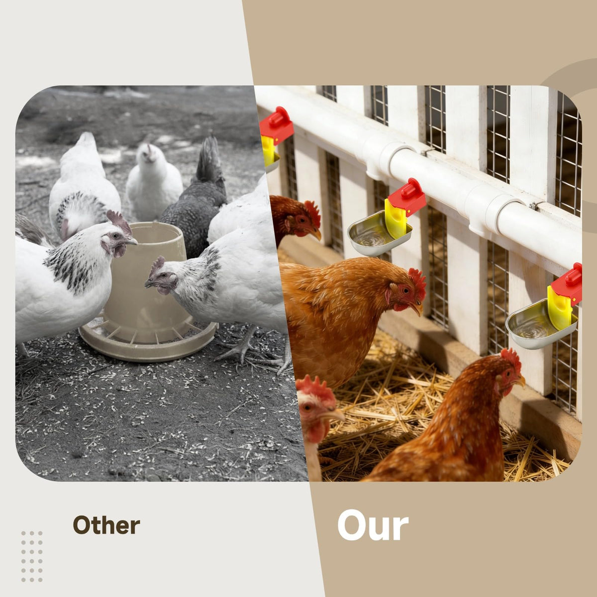 12 Pcs Stainless Self-Filling Chicken Water Cups J1163