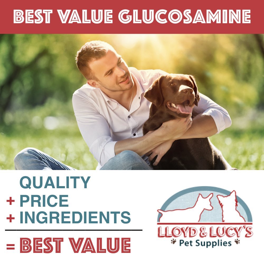 Chewable Hip and Joint Supplement for Dogs 180 Ct Tablets S50657