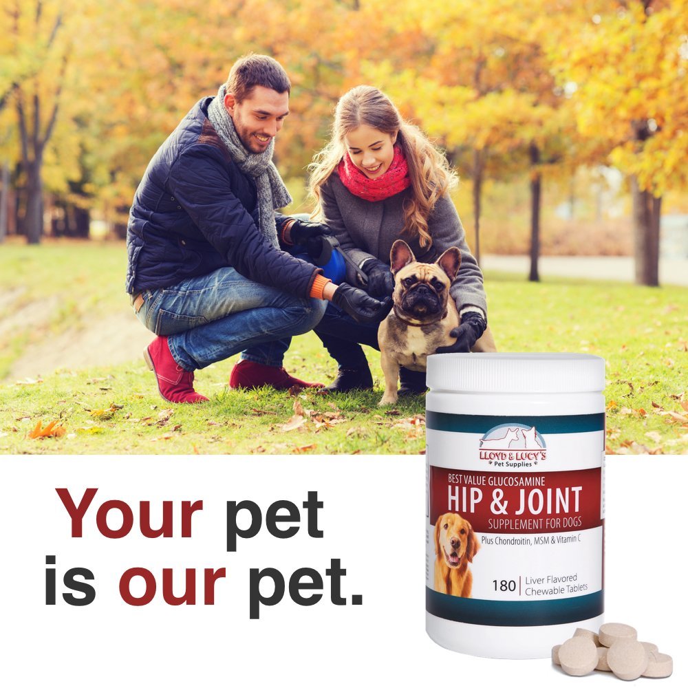 Chewable Hip and Joint Supplement for Dogs 180 Ct Tablets S50657