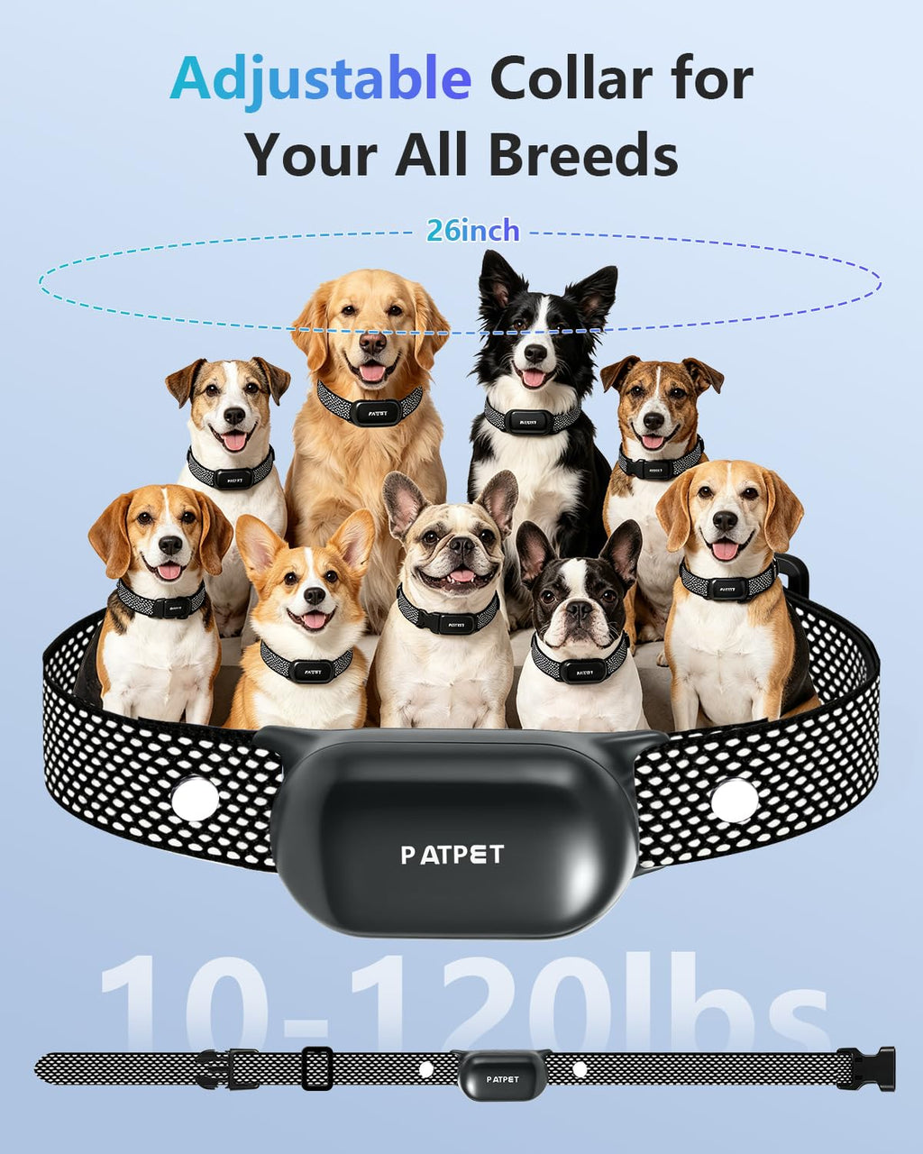 Dog Shock Collar with Remote Control Z812