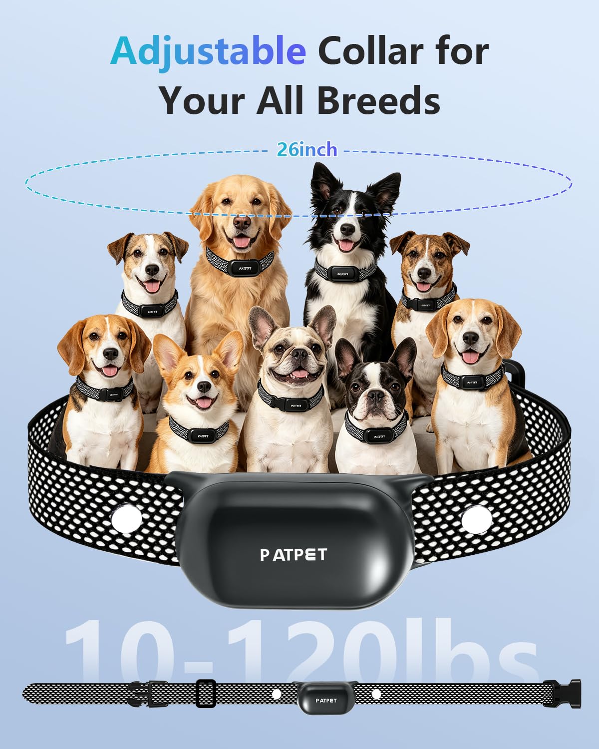 Dog Shock Collar with Remote Control Z812