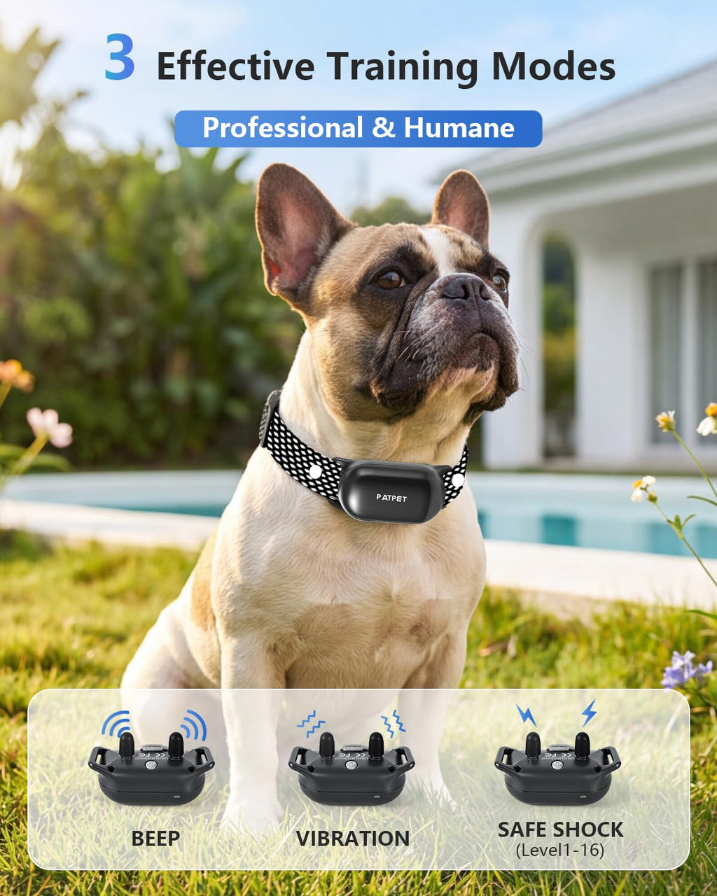 Dog Shock Collar with Remote Control Z812