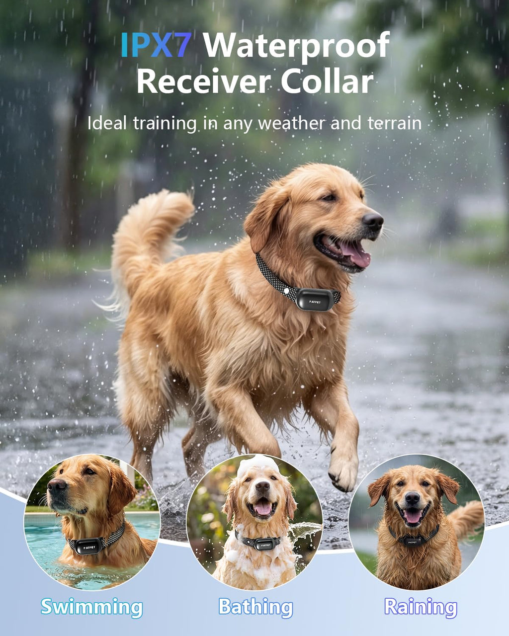 Dog Shock Collar with Remote Control Z812
