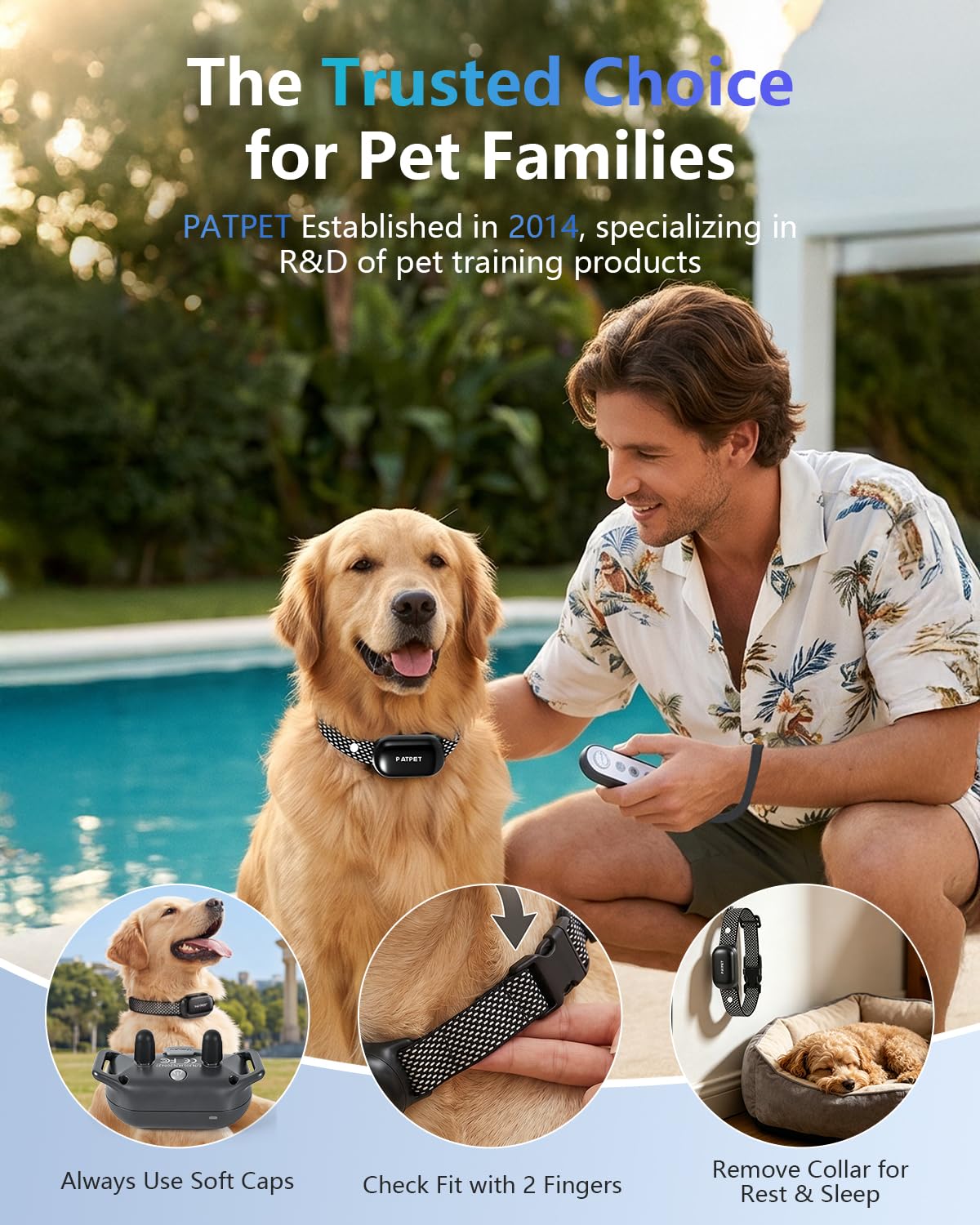 Dog Shock Collar with Remote Control Z812