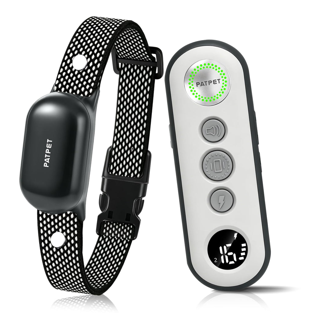 Dog Shock Collar with Remote Control Z812