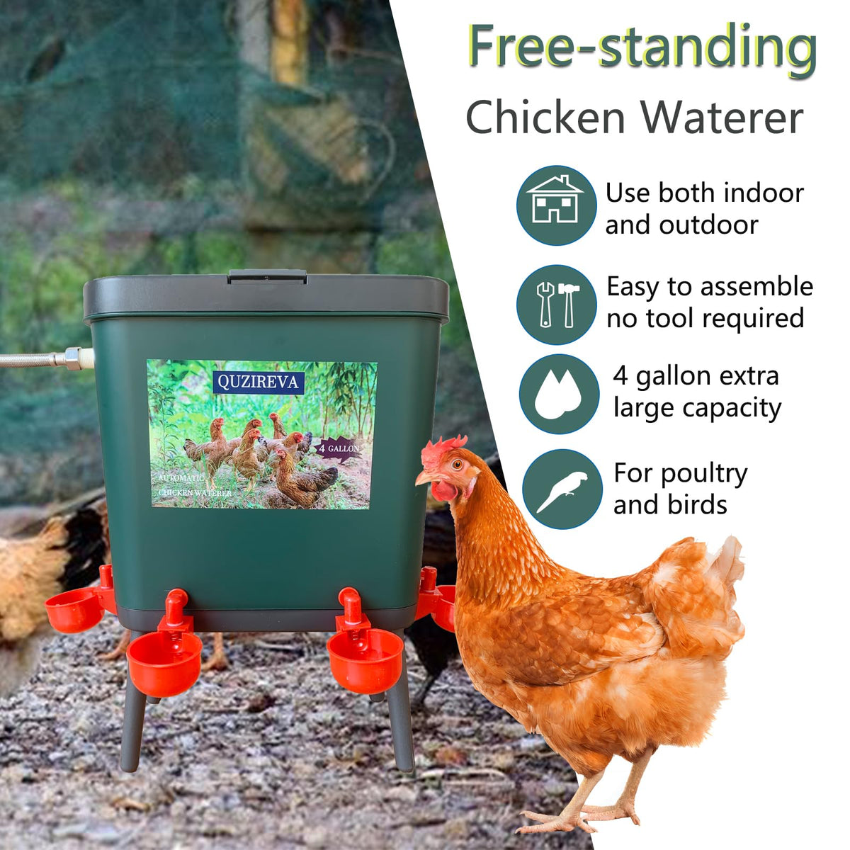 4 Gallon Automatic Float Controlled Poultry Waterer with Hose and Cups D290721