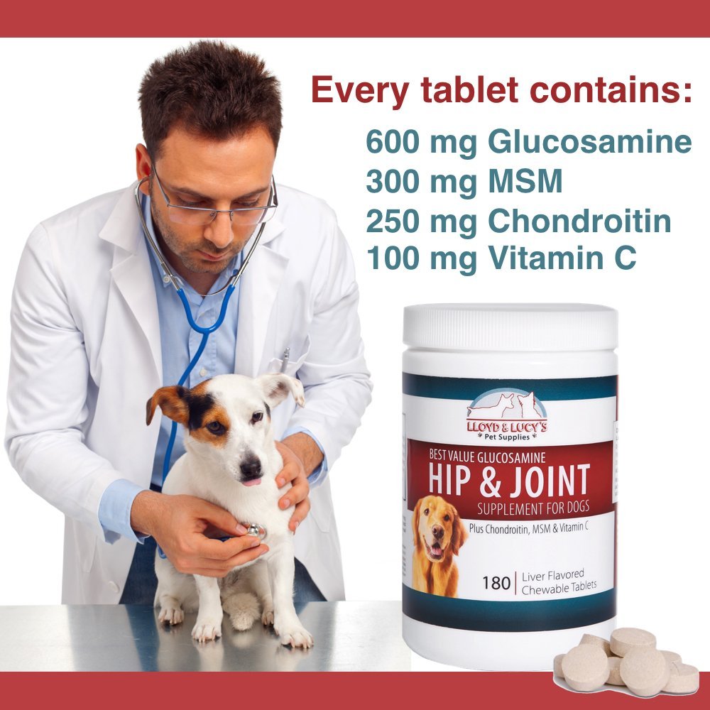 Chewable Hip and Joint Supplement for Dogs 180 Ct Tablets S50657