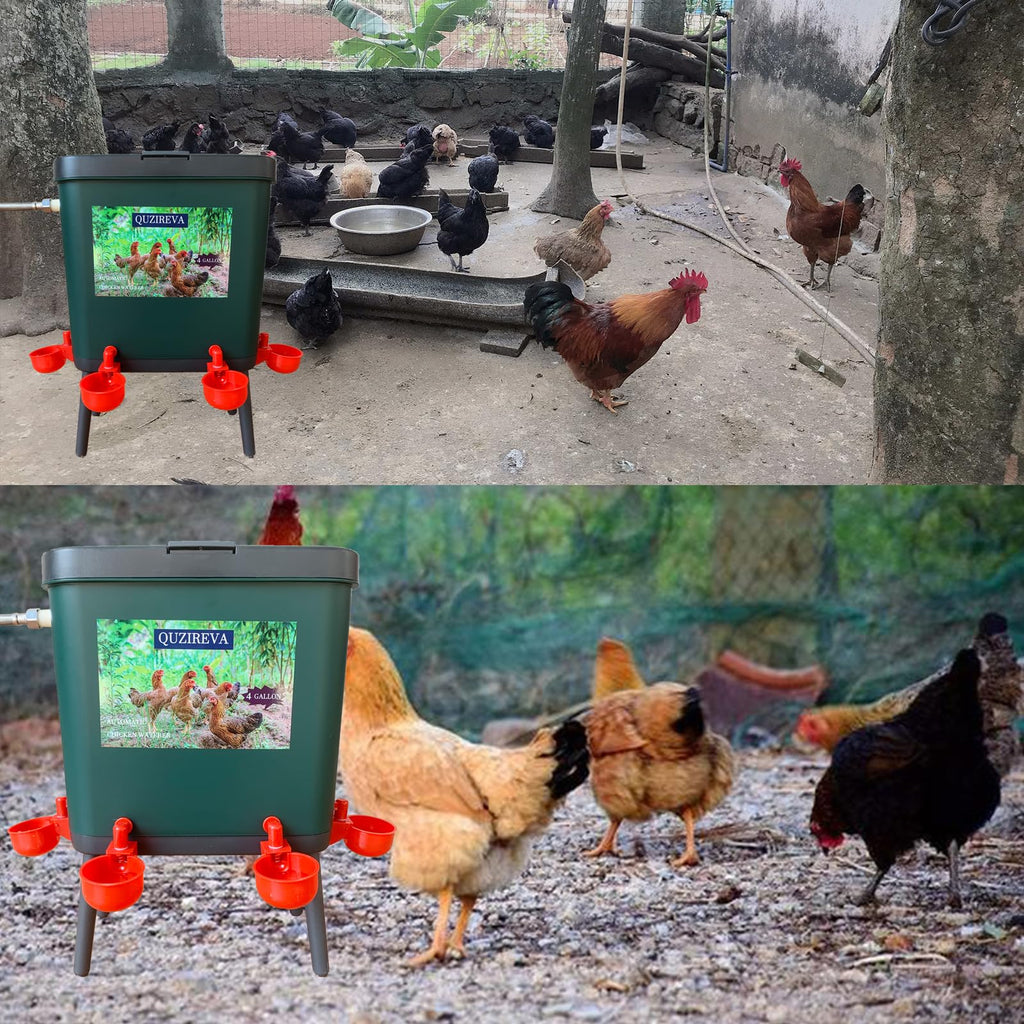 4 Gallon Automatic Float Controlled Poultry Waterer with Hose and Cups D290721
