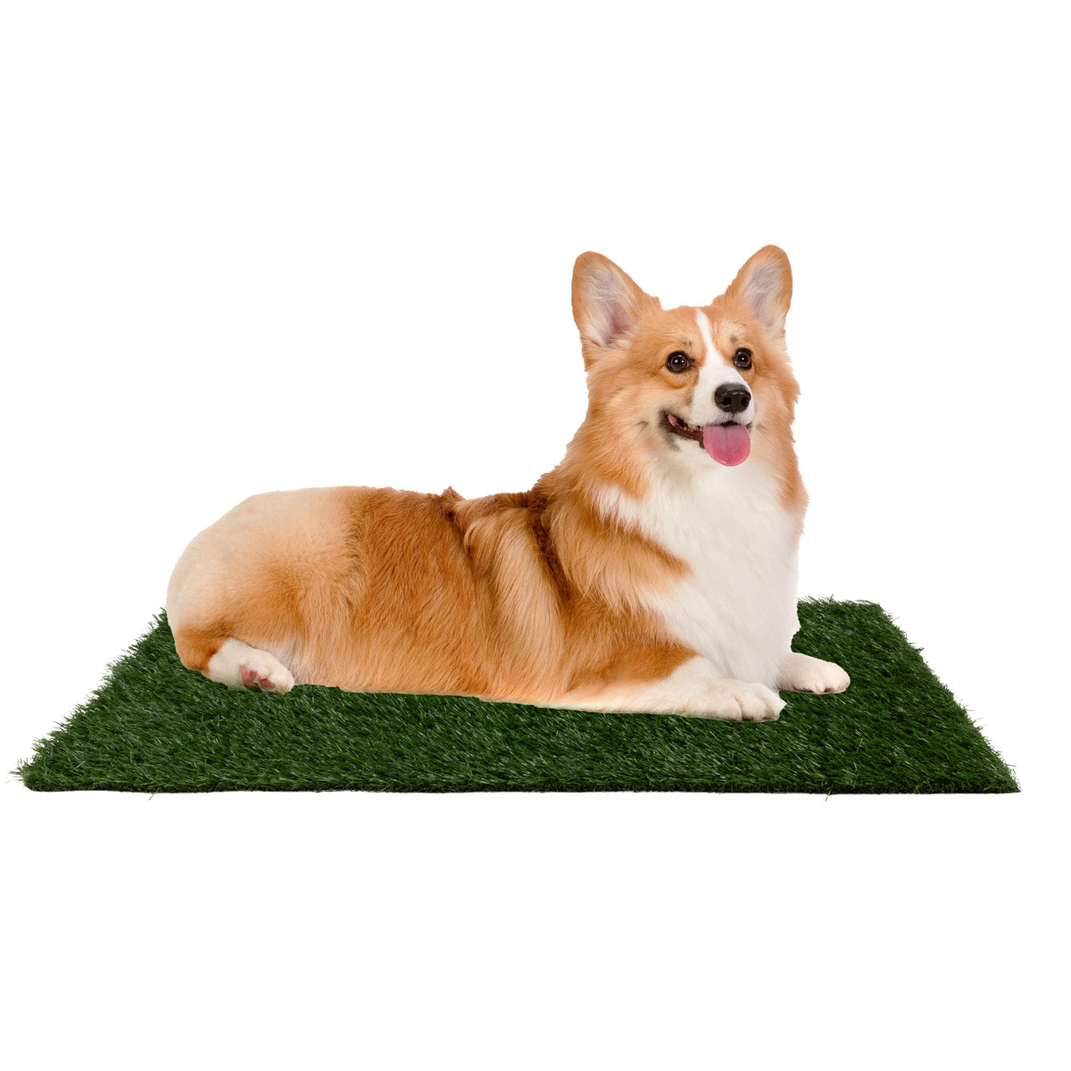 Artificial Grass Puppy Pee Pad Set of 3 A73516