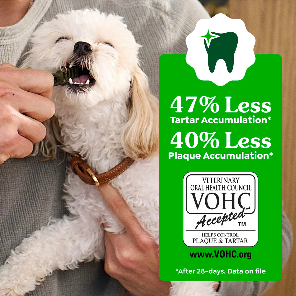 Natural Dental Dog Treats Fresh Mint Flavor 12 Count S9949