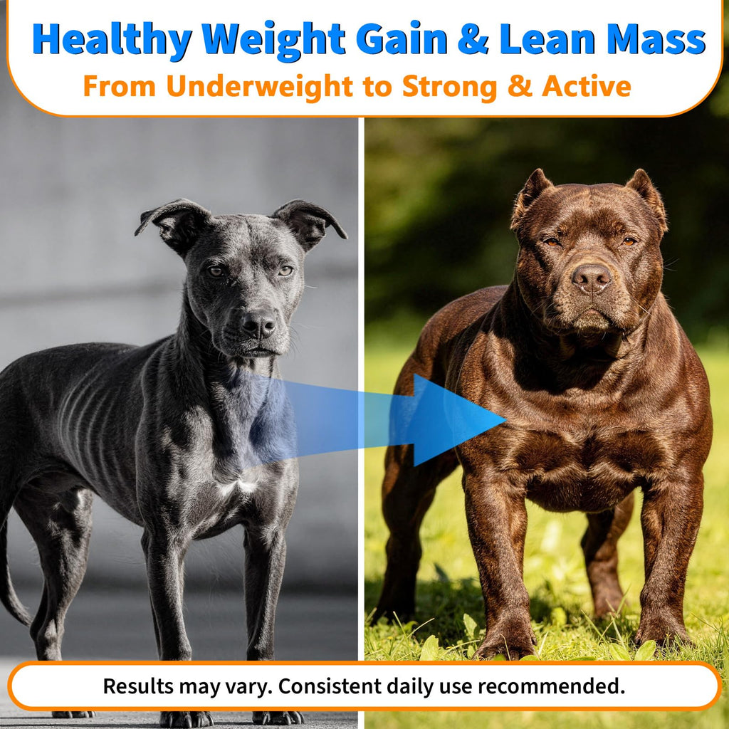 Dog Weight Gainer Soft Chews E413