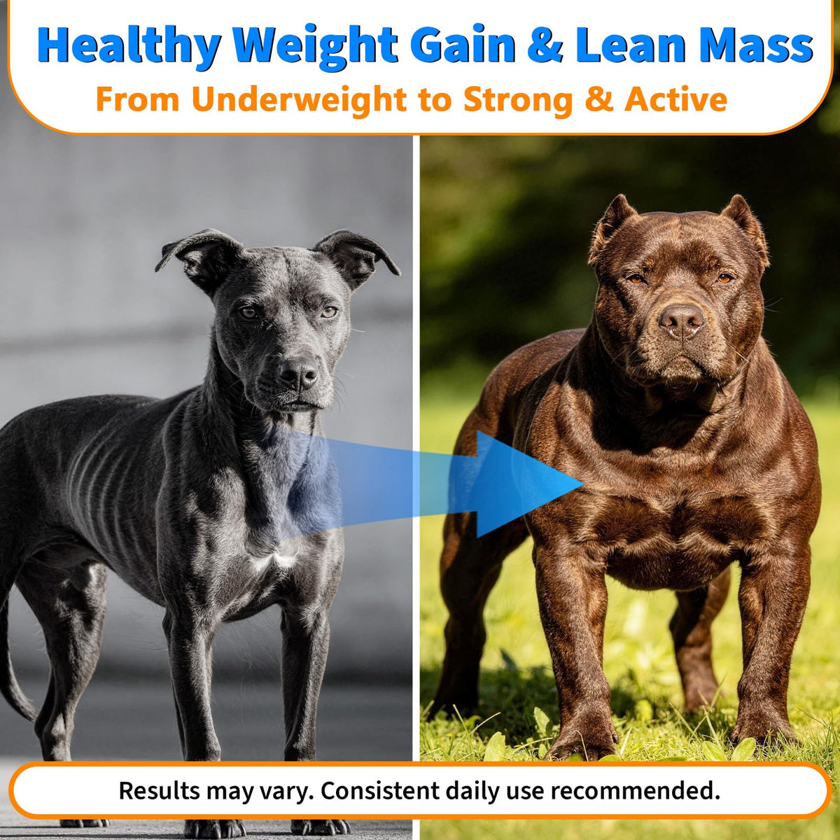Dog Weight Gainer Soft Chews E413
