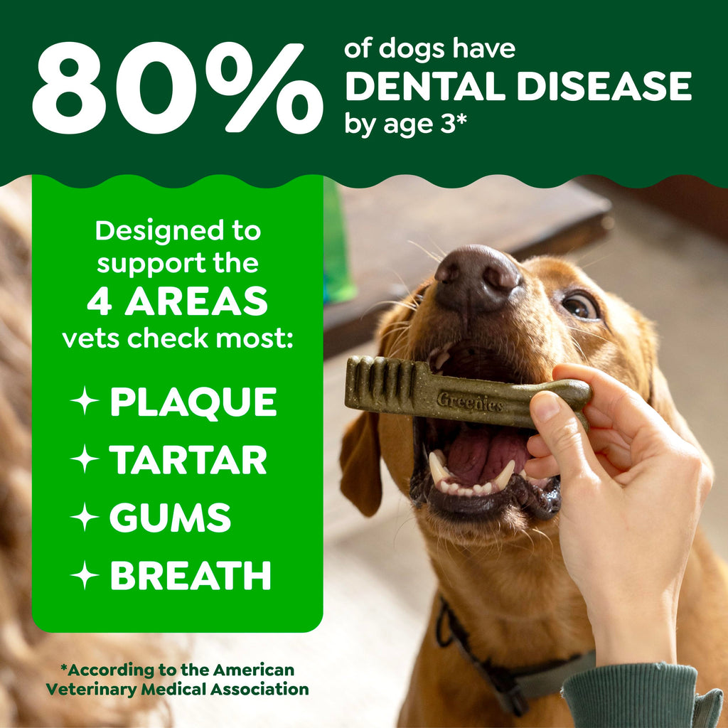 Natural Dental Dog Treats Fresh Mint Flavor 12 Count S9949