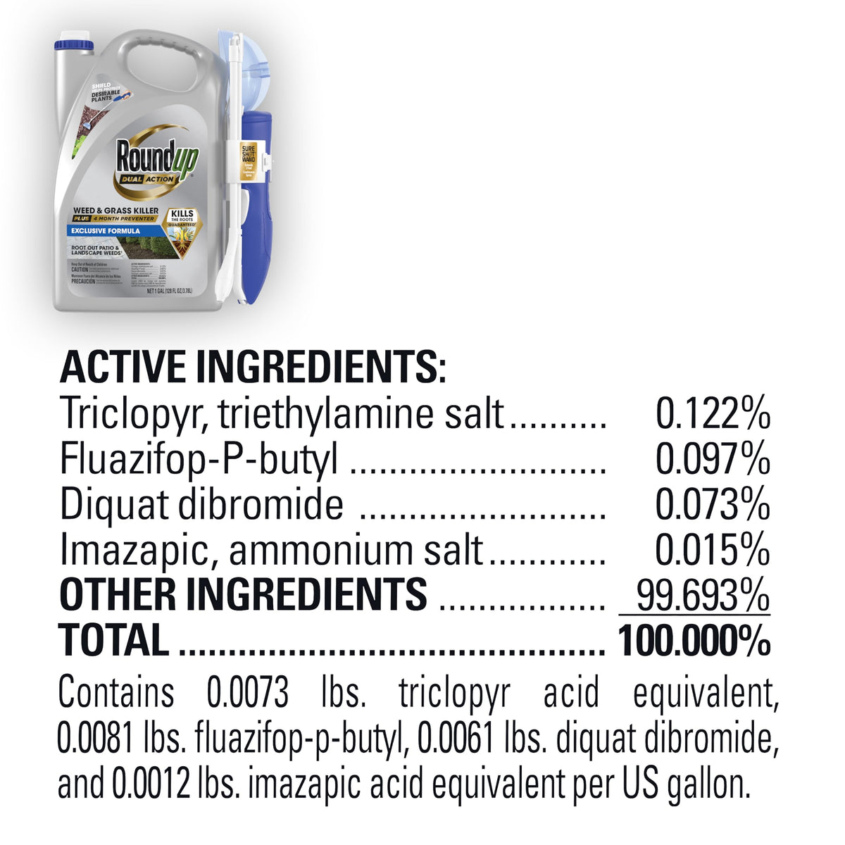 Dual Action Weed & Grass Killer with Wand, 1 gal. G518