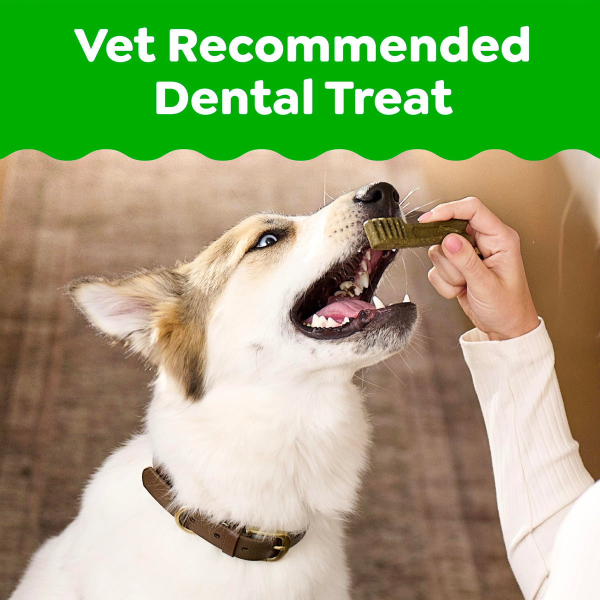 Natural Dental Dog Treats Fresh Mint Flavor 12 Count S9949