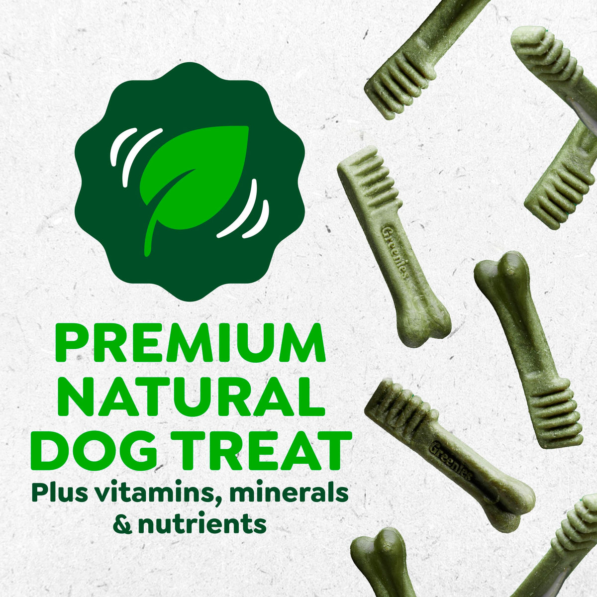 Natural Dental Dog Treats Fresh Mint Flavor 12 Count S9949