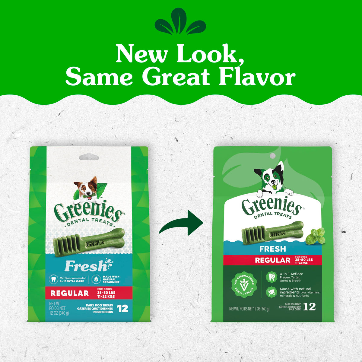 Natural Dental Dog Treats Fresh Mint Flavor 12 Count S9949