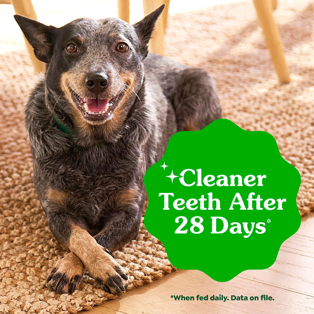 Natural Dental Dog Treats Fresh Mint Flavor 12 Count S9949
